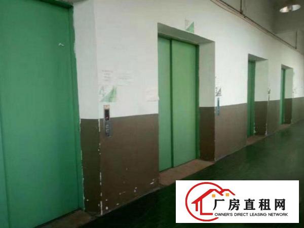 
		桥头莲城新出楼上带装厂房1500平，水电齐全
	