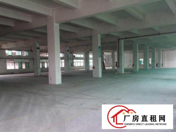 
		桥头屋厦独门独院三层厂房4800平出租可分租
	