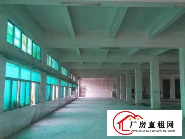 
		桥头屋厦独门独院三层厂房4800平出租可分租
	