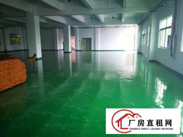 
		桥头镇新出标准厂房火爆招租
	