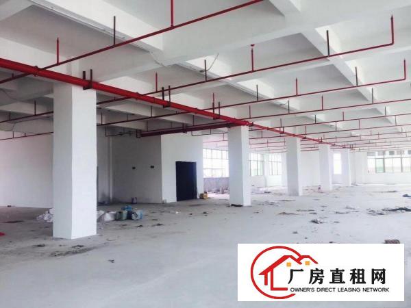 
		桥头镇屋厦村业主直租全新重工业厂房2360平米
	