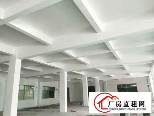 
		桥头桥头华夏分租标准厂房500平米
	