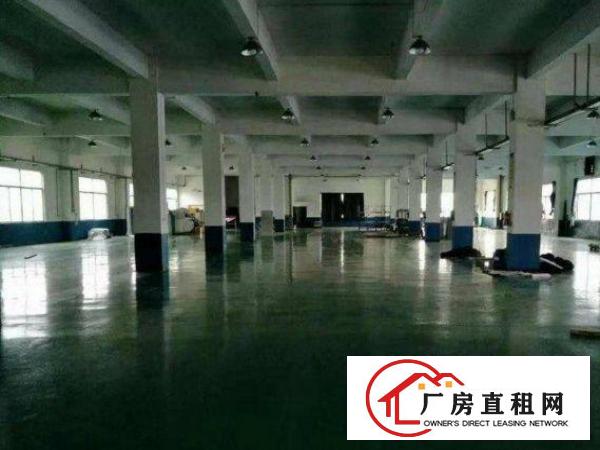 
		桥头东江村新出楼上1520平带豪华装修厂房招租
	