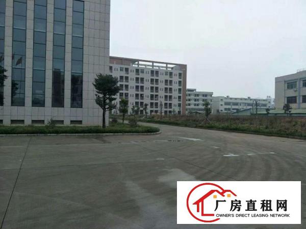 
		桥头镇全新独门独院厂房形象好带牛角15200
	
