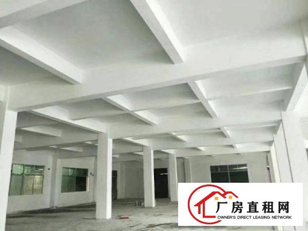 
		桥头厂房5300平米
	