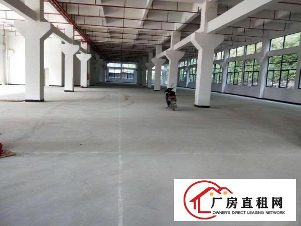 
		桥头国有证现成豪华装修25000平米
	