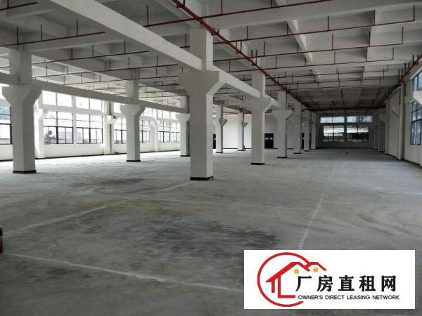 
		桥头国有证现成豪华装修25000平米
	