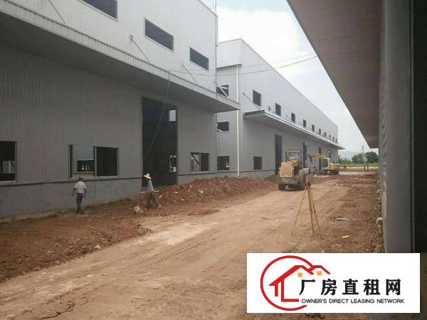 
		桥头东部桥头番莞高速出口业主厂房50000平米
	