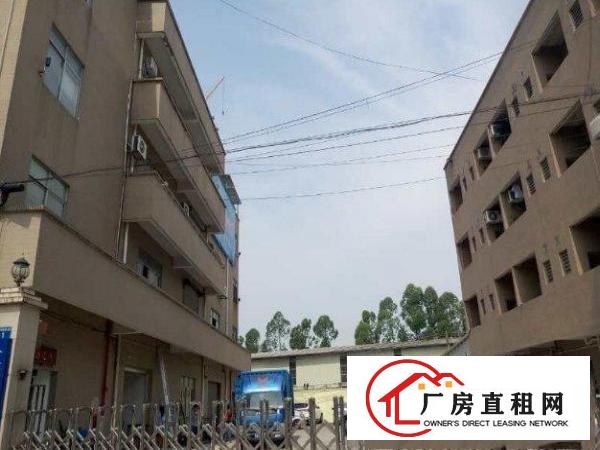 
		桥头岗头独院厂房2600平
	