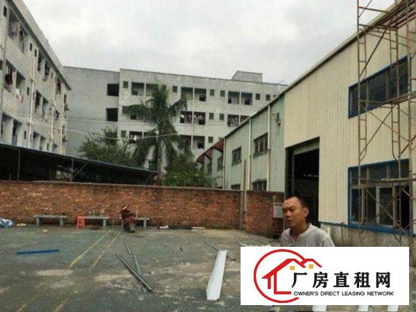 
		桥头屋厦单一层独院1600平方厂房出租
	