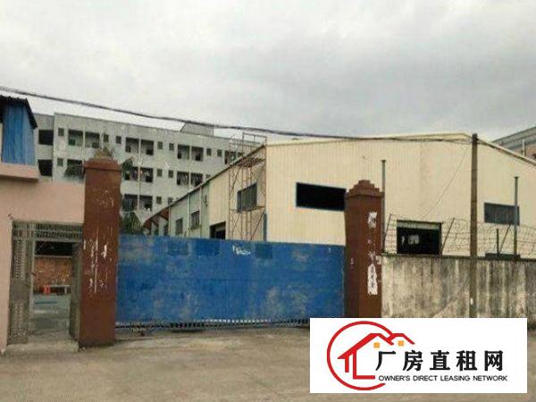 
		桥头屋厦单一层独院1600平方厂房出租
	