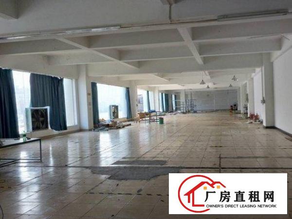 
		桥头一楼已装修的1100平厂房出租，带豪华办公室
	