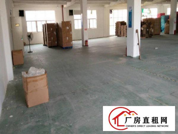 
		桥头莲城新出原房东三楼1000平厂房出租
	