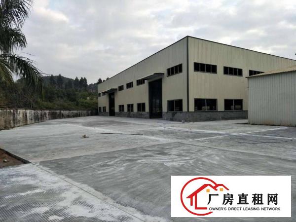 
		桥头镇独院全新单一层8米高9700平方出租
	