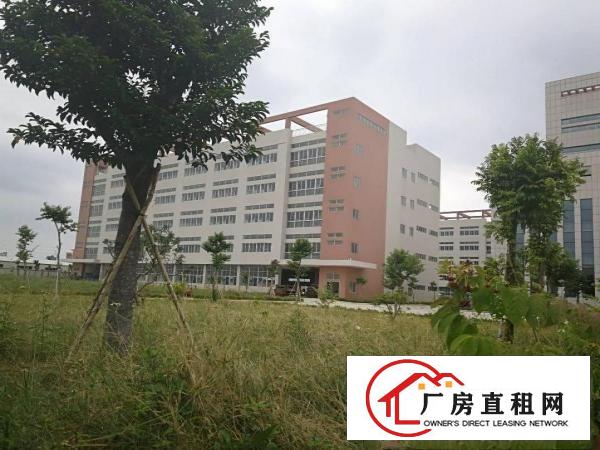 
		桥头镇岭头村标准二楼1000平方出租
	
