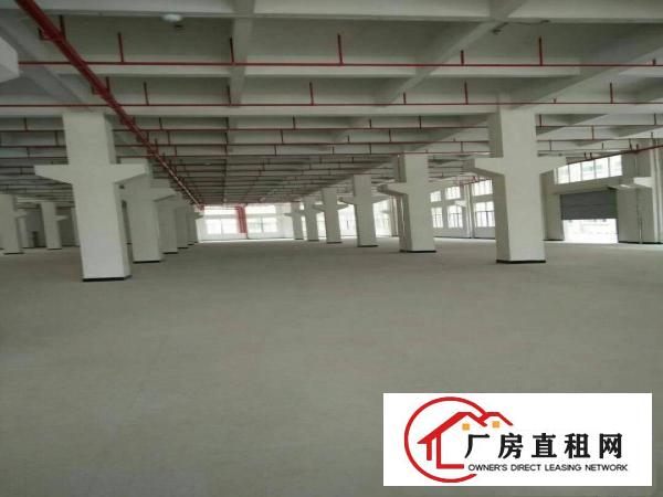 
		桥头镇新出标准三层独院厂房
	