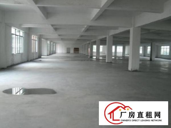 
		桥头全新地坪漆电量大厂房3200平独立变压器
	