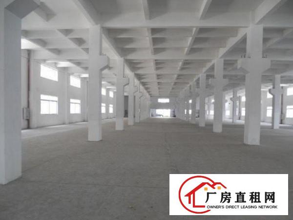 
		桥头全新地坪漆电量大厂房3200平独立变压器
	