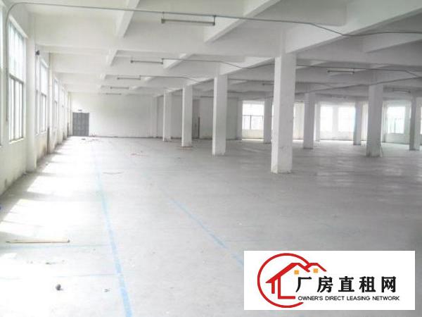 
		桥头全新地坪漆电量大厂房3200平独立变压器
	