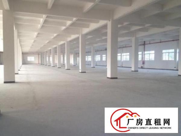 
		桥头全新地坪漆电量大厂房3200平独立变压器
	