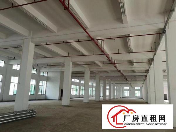 
		桥头东部快速边标准厂房2850一层带牛角位消防喷淋
	