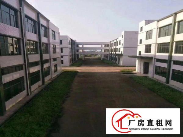 
		桥头东部快速边标准厂房2850一层带牛角位消防喷淋
	