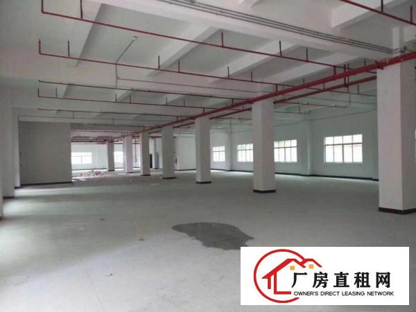 
		东深路边标准厂房2900一层可做家具喷油等污染行业
	