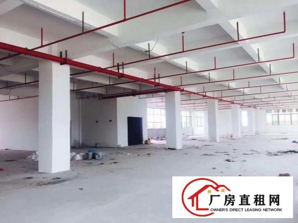 
		独门独院九成新四层均配消防喷淋独门独院15000方
	