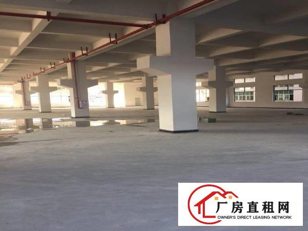 
		独门独院九成新四层均配消防喷淋独门独院15000方
	