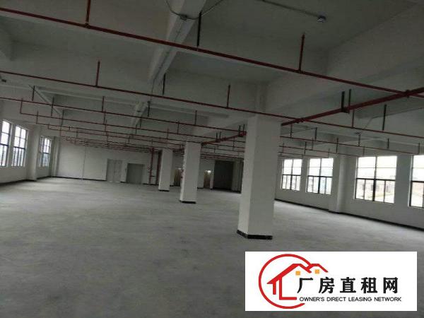 
		桥头工业区新出标准独院三层3200平米可分租厂房
	