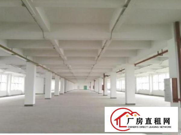 
		桥头经典小独院1500平2层九成新现成办公室
	