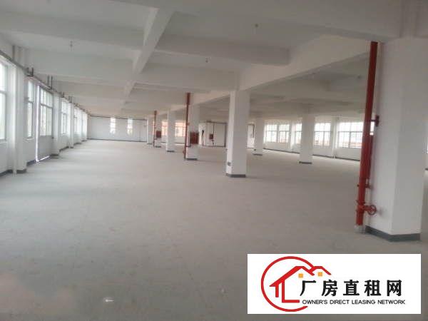 
		桥头经典小独院1500平2层九成新现成办公室
	