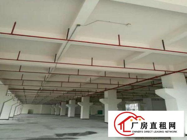 
		桥头经典小独院厂房1300平主线到车间精装修
	