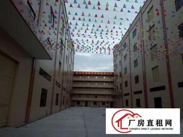 
		东莞市桥头标准独门独院厂房出租
	