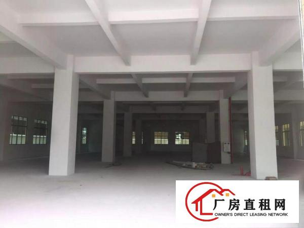 
		东莞市桥头标准独门独院厂房出租
	