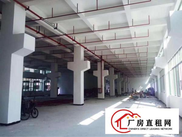 
		东部快速边消防喷淋牛角位标准厂房15200平方
	