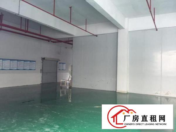 
		东莞桥头大洲全新标准厂房招租
	