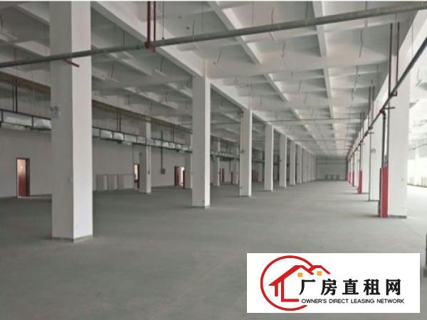 
		东莞桥头大洲全新标准厂房招租
	
