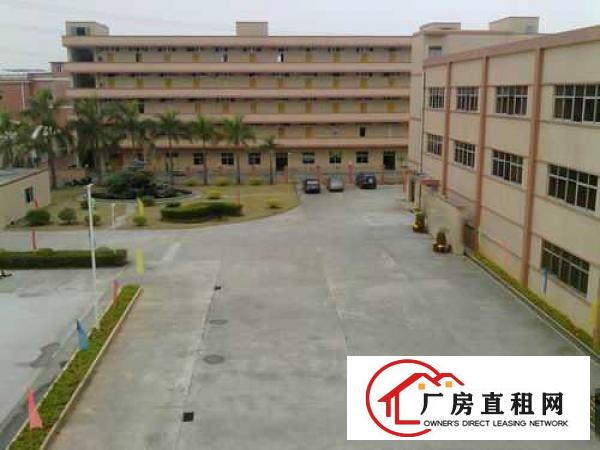 
		东莞桥头大洲全新标准厂房招租
	