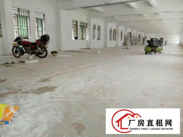 
		桥头全新三层独门独院招租中
	