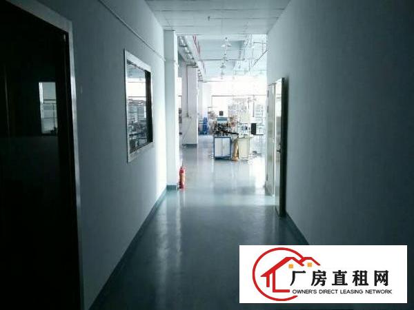 
		桥头镇新出独院厂房3800平方
	