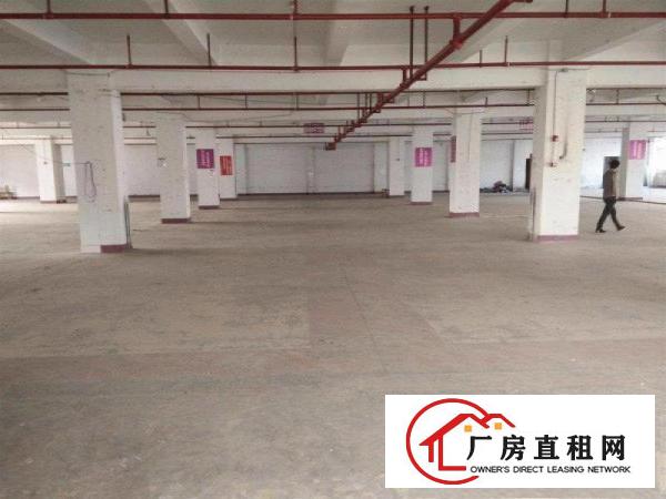 
		桥头镇新出独院厂房3800平方
	