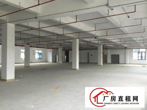 
		桥头镇新出独院厂房3800平方
	