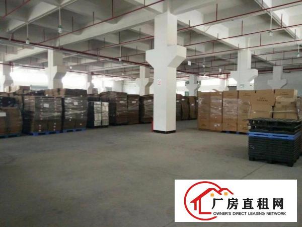 
		桥头九成新四层均配消防喷淋独门独院15000方
	