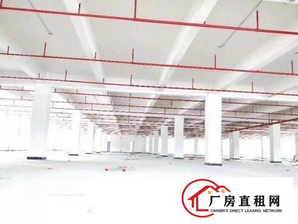 
		桥头九成新四层均配消防喷淋独门独院15000方
	