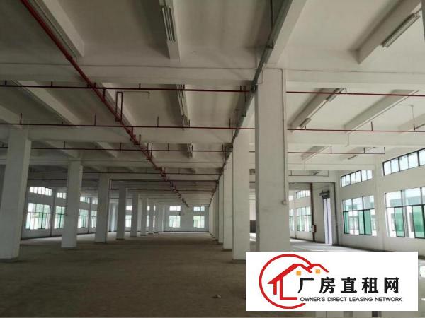 
		桥头镇大洲新空出带消防喷淋一楼带牛角5000平方
	