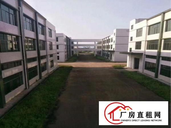 
		桥头镇大洲新空出带消防喷淋一楼带牛角5000平方
	