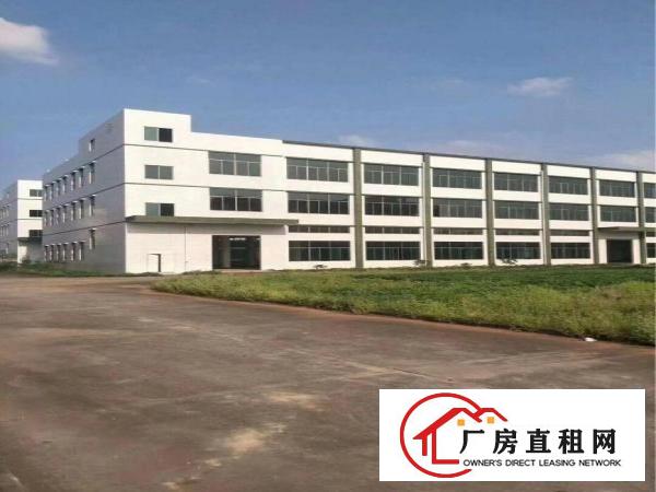 
		桥头镇大洲新空出带消防喷淋一楼带牛角5000平方
	
