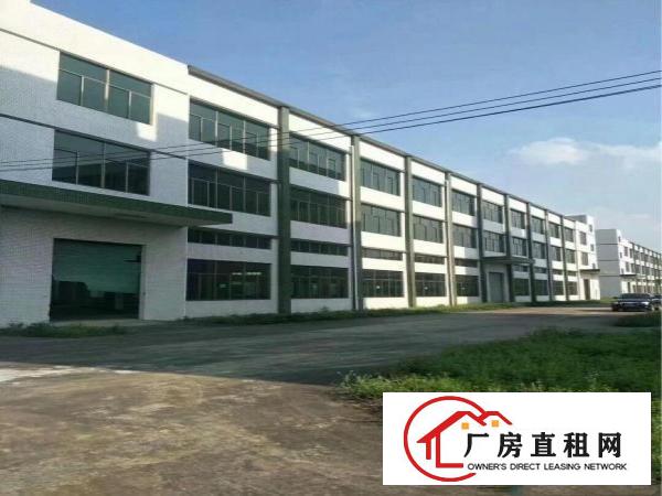 
		桥头镇大洲新空出带消防喷淋一楼带牛角5000平方
	