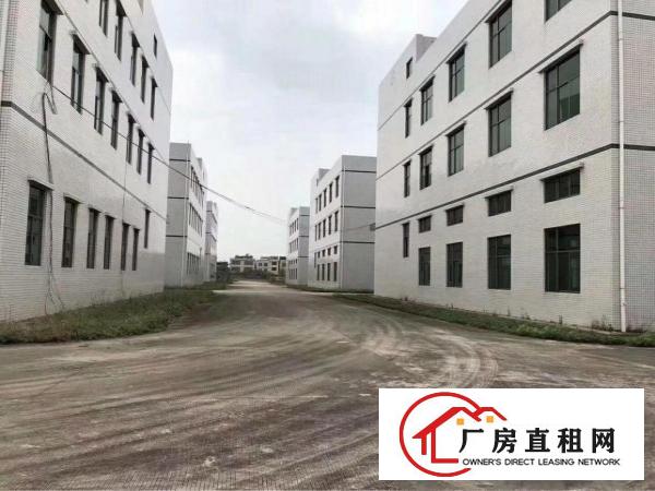 
		桥头镇大洲新空出带消防喷淋一楼带牛角5000平方
	